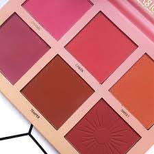 COSLUXE 6 Color Touch Blush Palette 20g – Matte & Shimmer Face Blush for Girls and Women, Long-Lasting, Easy Blend Powder Blusher for Daily & Party Makeup - Image 5