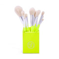 BH STUDIO PRO Makeup Brush set, Colour Festival 12-Piece Brush Set