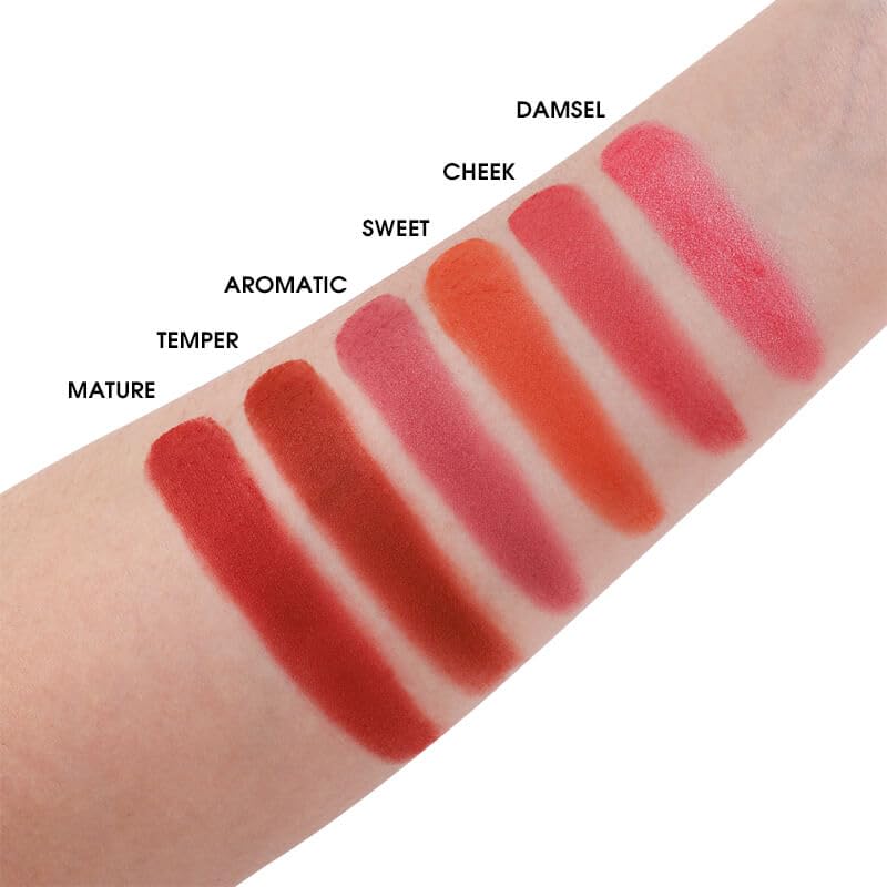 COSLUXE IMAGIC PROfessional Pro Blusher Palette 42.8g, 6 COLOR TOUCH BLUSH PALETTE - Image 3