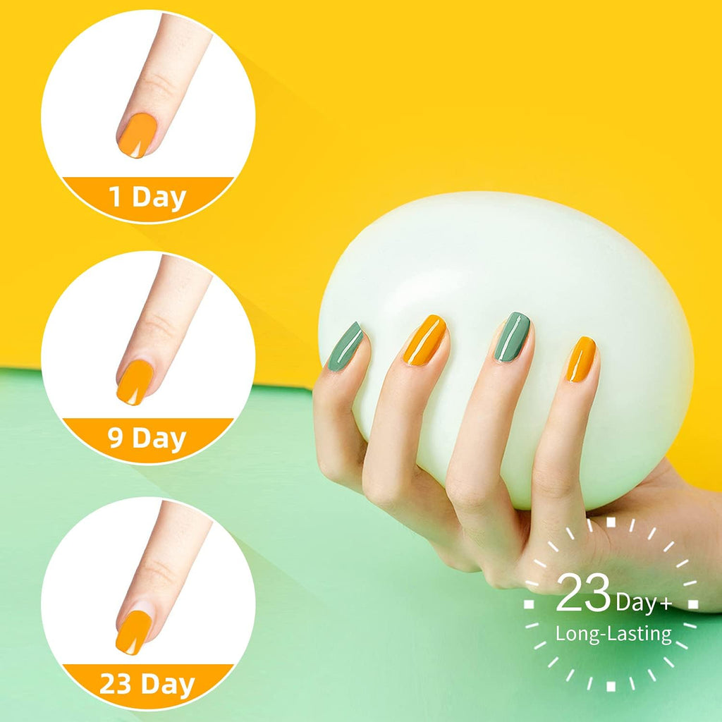 NAILWIND 24 Color Acrylic Nail Powder Set, Acrylic Powder Set, Nail DIY Art Design, Acrylic Nail Art 3D Nail Sculpture French Nail Extension, Gift for Women - Image 5