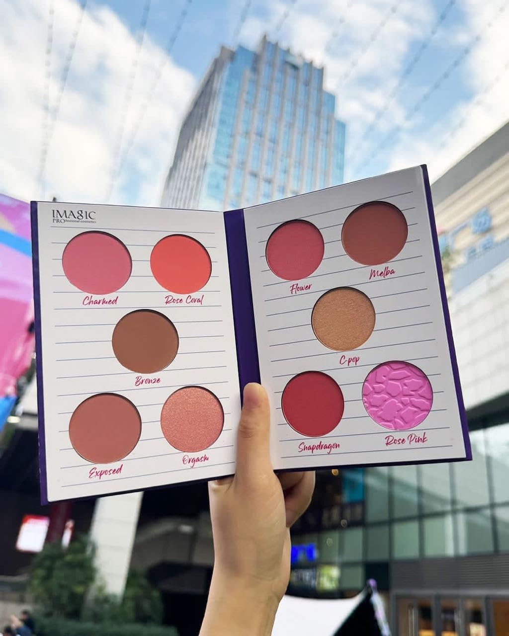 COSLUXE IMAGIC 10 Color Blusher Palette | The Blush Book Private Collection | Long Lasting High Pigment Matte Pressed Powder Blush 39.8g for Women and Girl - Image 5