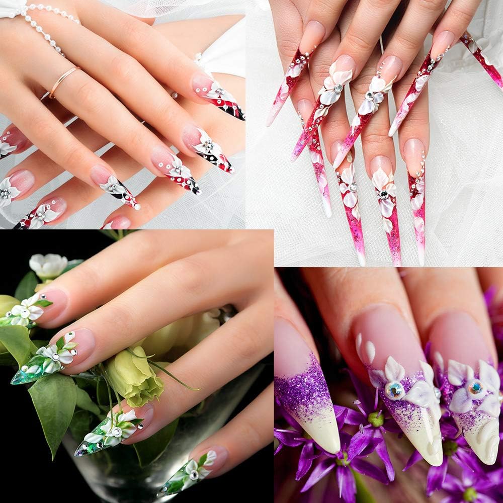 NAILWIND Acrylic Nail extension kit, Nail Art Kit - 12 Color Acrylic Powder Set, 5 Pc Gel Brushes, 150ml Mono mer - Image 4